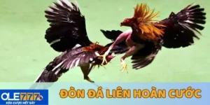 đòn đá liên hoàn cước