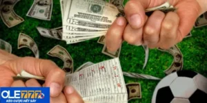 tại sao cá cược bóng đá luôn thua
